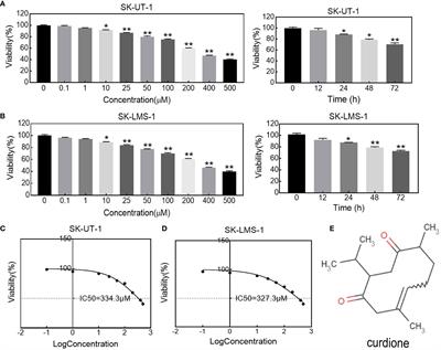 Curdione Induces Antiproliferation Effect on Human Uterine Leiomyosarcoma via Targeting IDO1